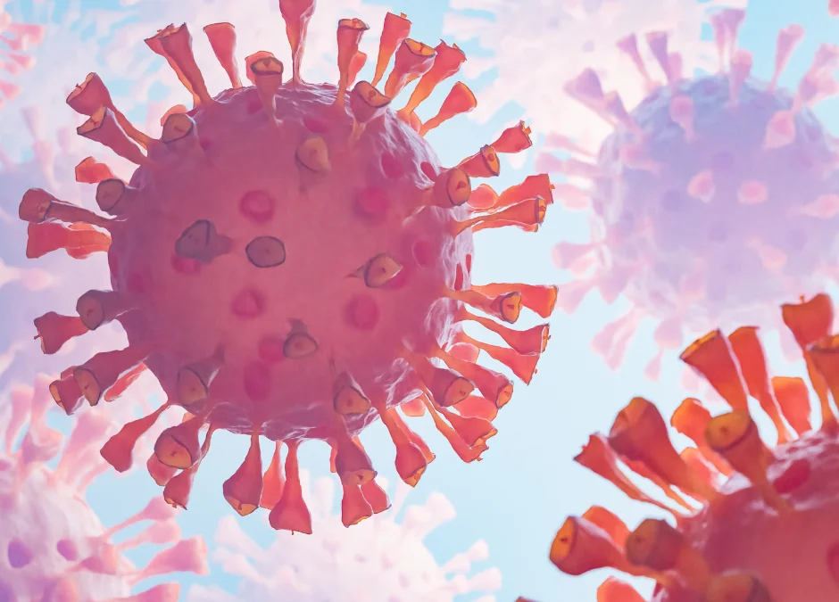 influenza B